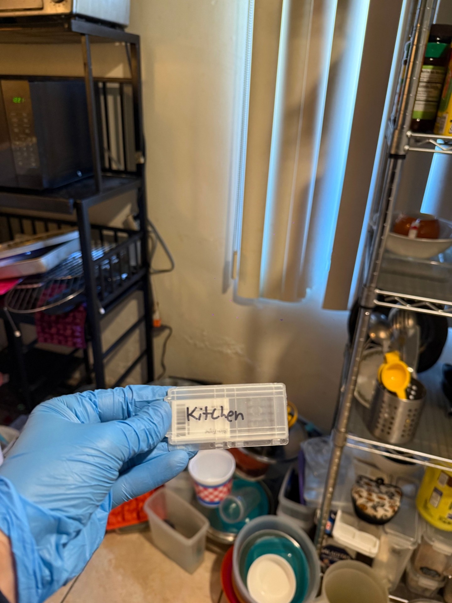 Surface Swab Sample