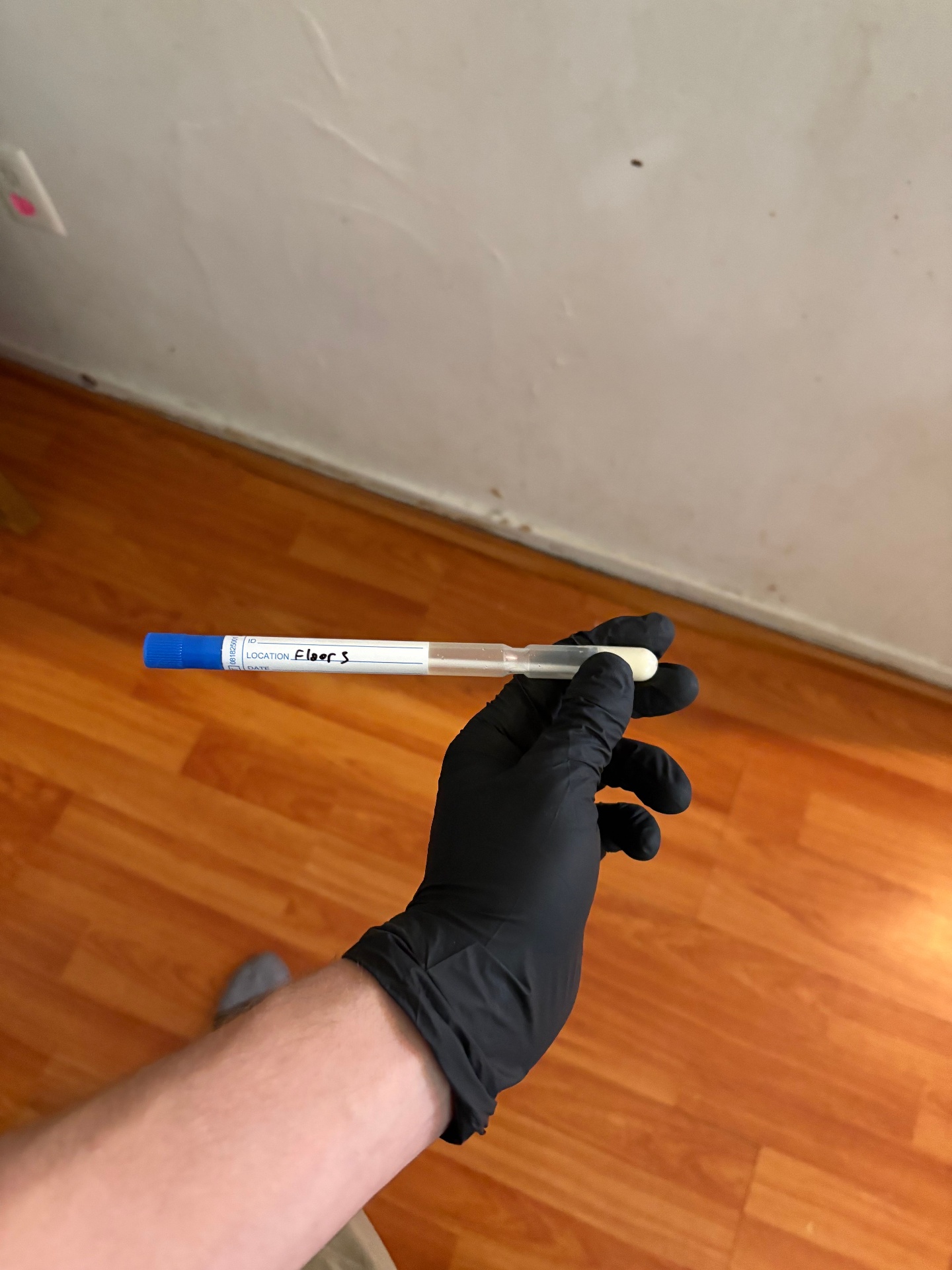 Floor Surface Swab